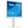 iiyama ProLite B1980S-W1 19" monitor, TN, SXGA 5:4, regulacja wysokości, biały (B1980S-W1)