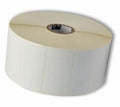 Etykiety, Zebra, papier zwykły, Z-Perform 1000T Removable, W: 76.2 mm, H: 19.05 mm, D: 200 mm, C: 76 mm (880702-019)