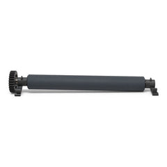 Zebra platen roller (P1116110-015)
